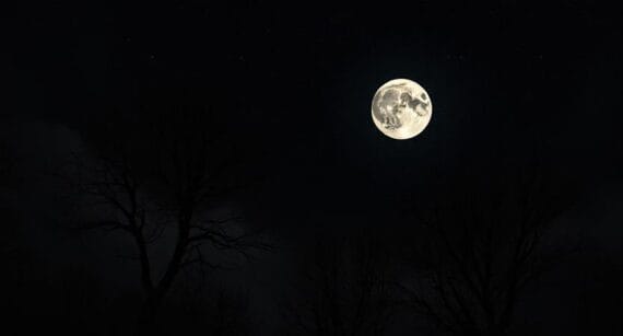 The Moon is Falling