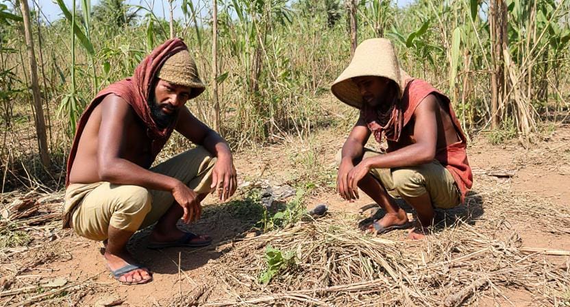 Adapting Sustainability Practices